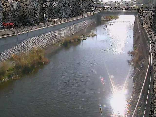 大山橋付近のカメラ画像