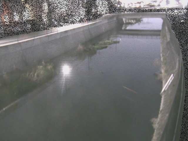 引地川 大山橋付近のカメラ画像