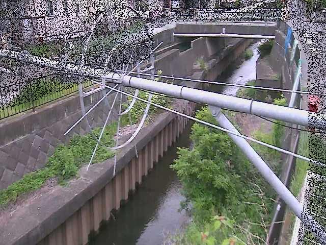 平和橋付近のカメラ画像