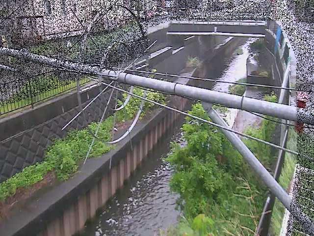 平和橋付近のカメラ画像