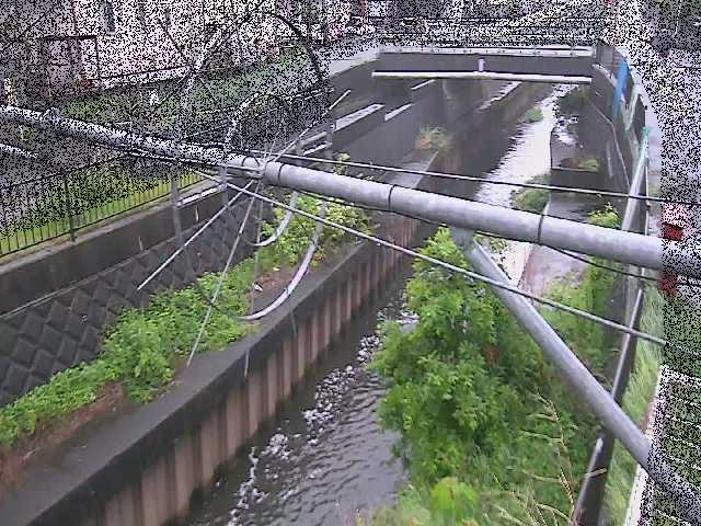 平和橋付近のカメラ画像