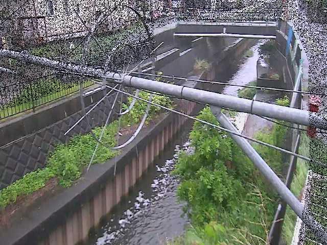 鳩川 平和橋付近のカメラ画像
