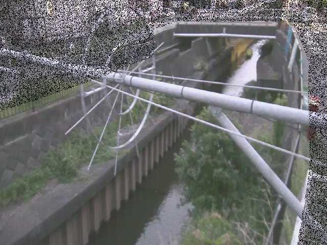 平和橋付近のカメラ画像