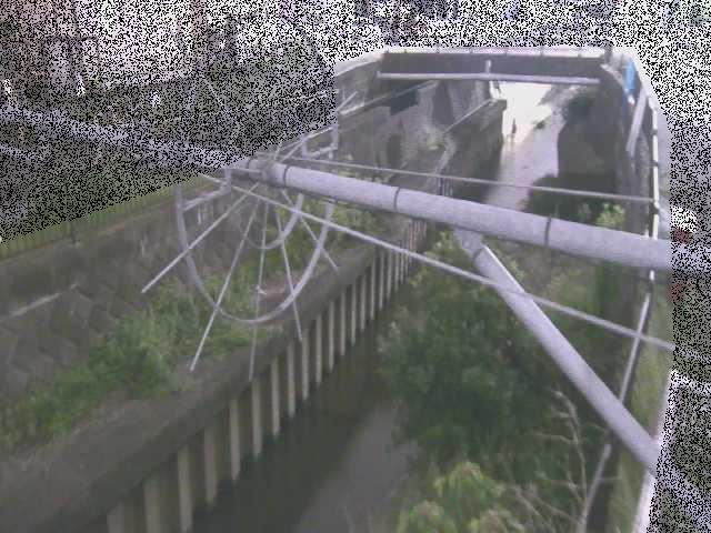 鳩川 平和橋付近のカメラ画像