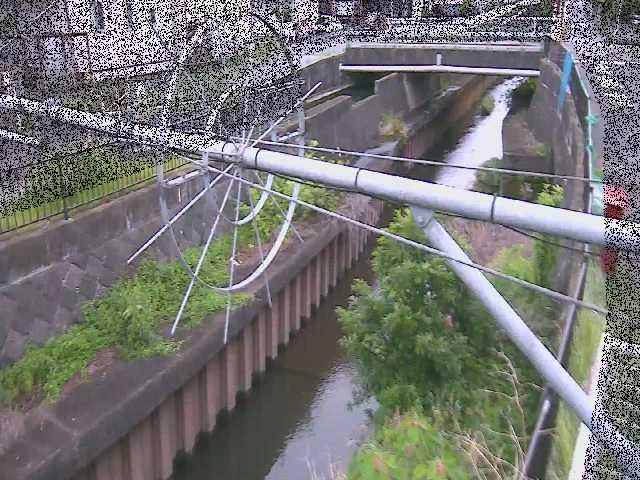 平和橋付近のカメラ画像
