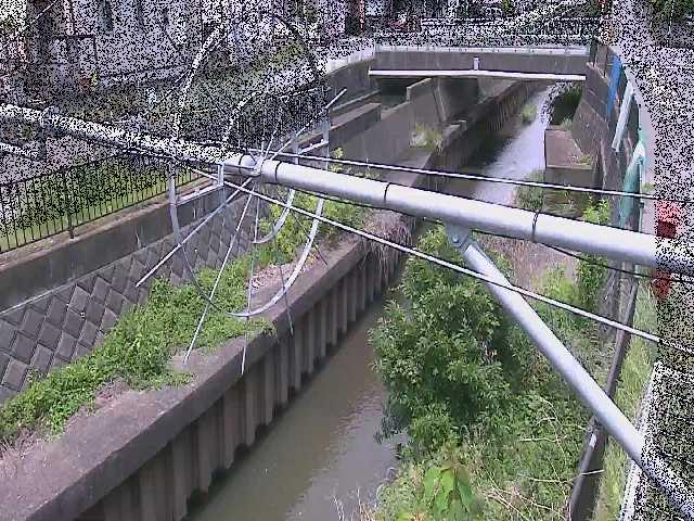 平和橋付近のカメラ画像