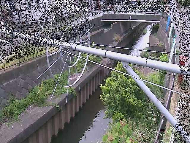 平和橋付近のカメラ画像