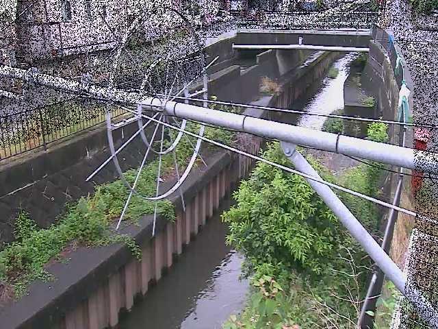 平和橋付近のカメラ画像