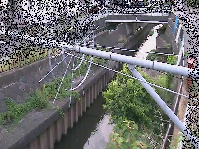 平和橋付近のカメラ画像