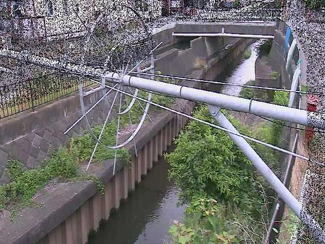 平和橋付近のカメラ画像