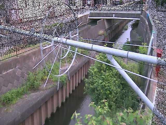 平和橋付近のカメラ画像