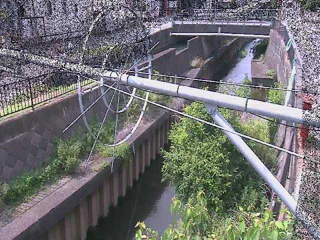 平和橋付近のカメラ画像