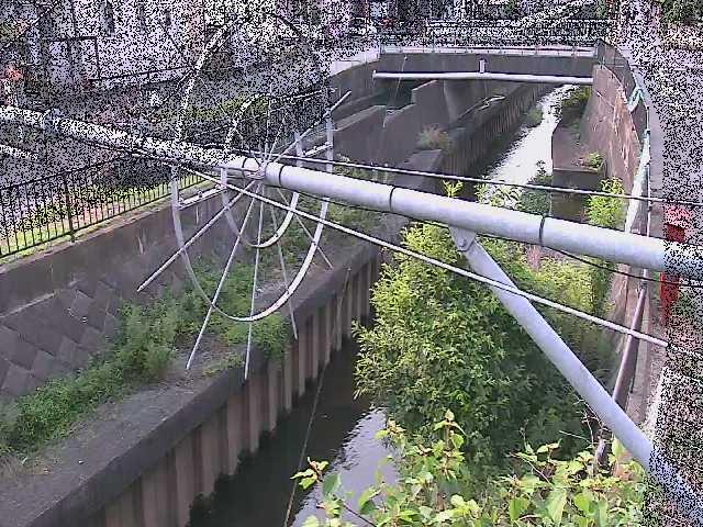 鳩川 平和橋付近のカメラ画像