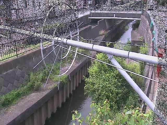 平和橋付近のカメラ画像