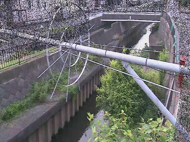 平和橋付近のカメラ画像