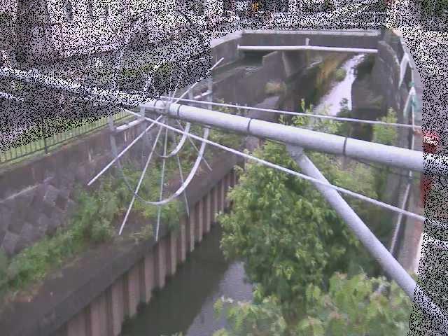 鳩川 平和橋付近のカメラ画像
