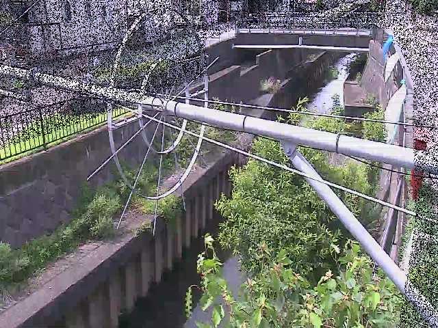 鳩川 平和橋付近のカメラ画像