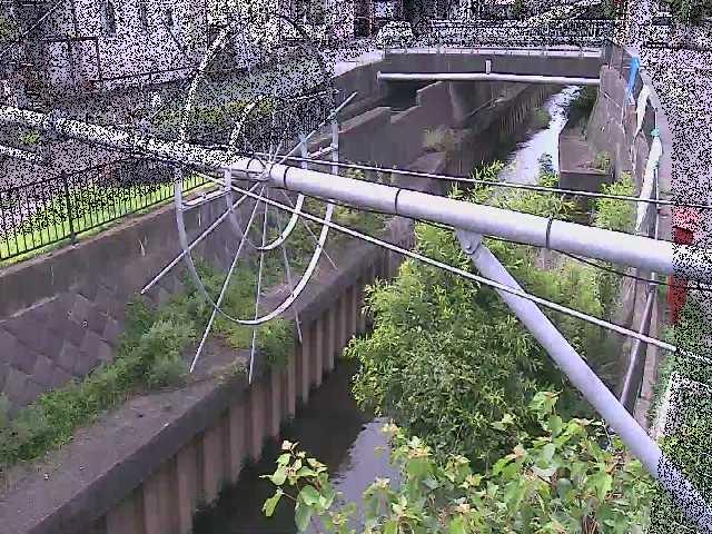 平和橋付近のカメラ画像