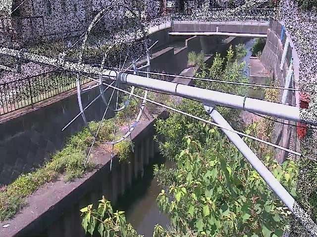 鳩川 平和橋付近のカメラ画像