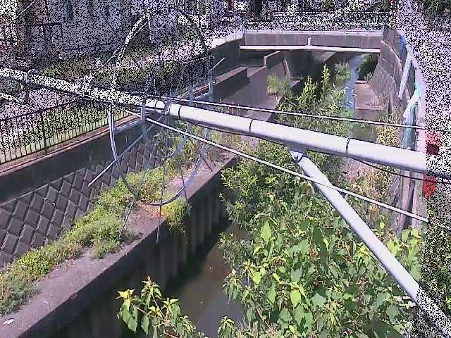 鳩川 平和橋付近のカメラ画像