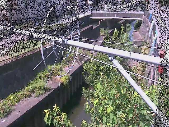 平和橋付近のカメラ画像