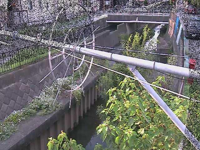 平和橋付近のカメラ画像