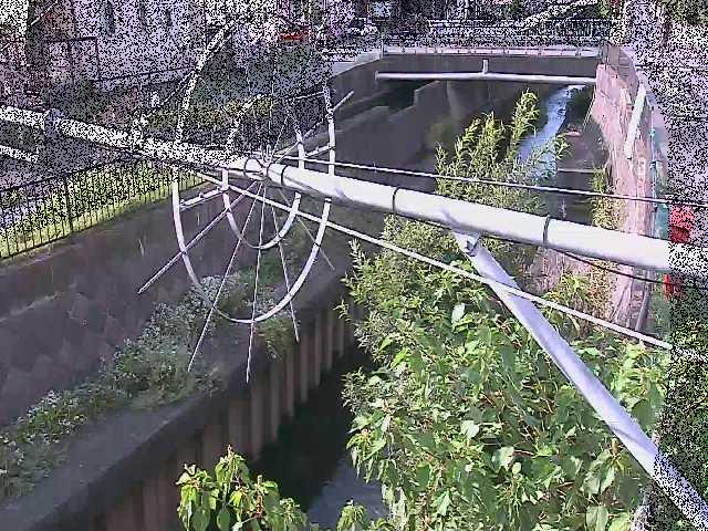 鳩川 平和橋付近のカメラ画像