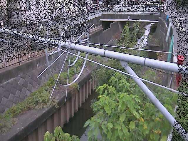 鳩川 平和橋付近のカメラ画像