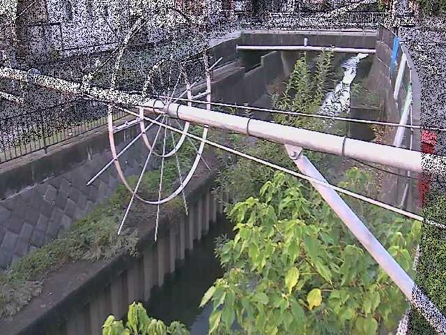 鳩川 平和橋付近のカメラ画像