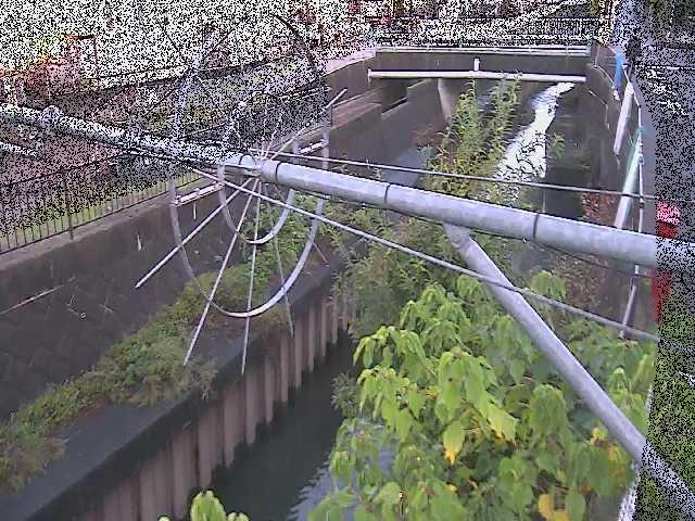 平和橋付近のカメラ画像