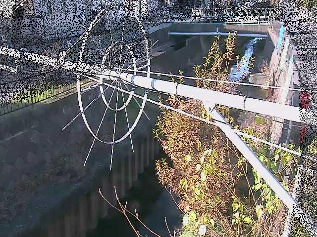 平和橋付近のカメラ画像