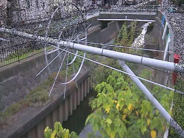 平和橋付近のカメラ画像
