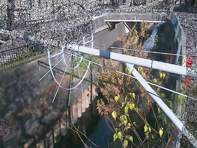 平和橋付近のカメラ画像