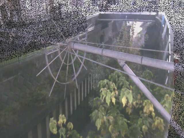 平和橋付近のカメラ画像