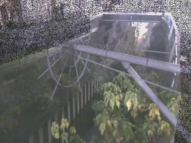 平和橋付近のカメラ画像