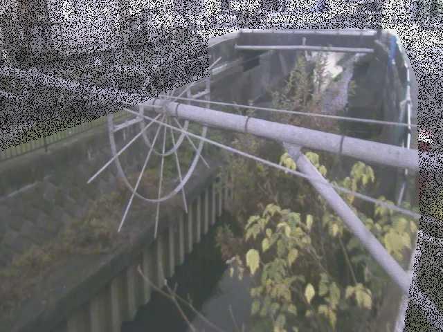 平和橋付近のカメラ画像