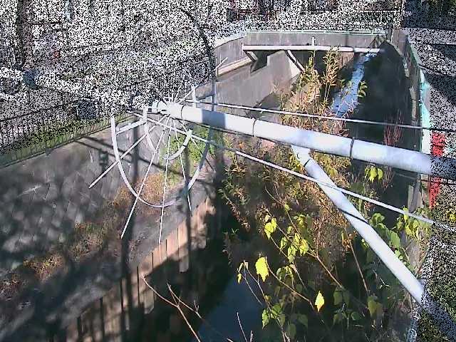 平和橋付近のカメラ画像