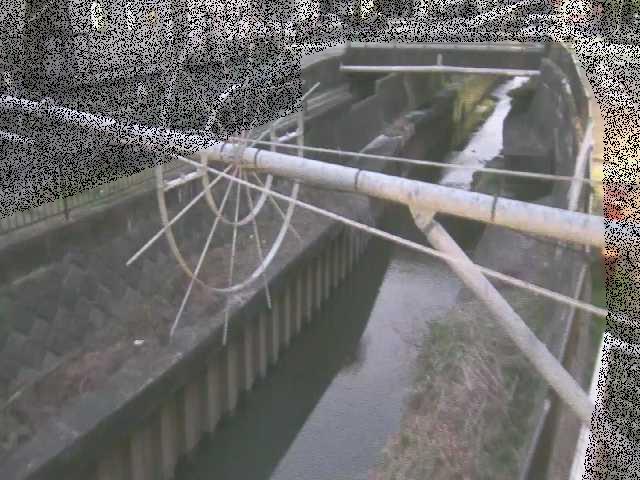 鳩川 平和橋付近のカメラ画像