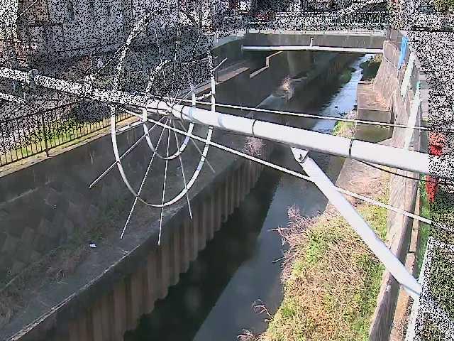 平和橋付近のカメラ画像