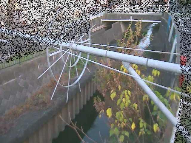 鳩川 平和橋付近のカメラ画像