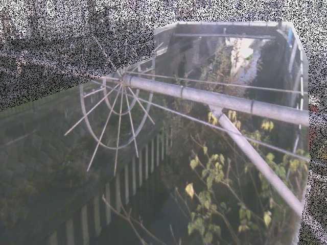 鳩川 平和橋付近のカメラ画像