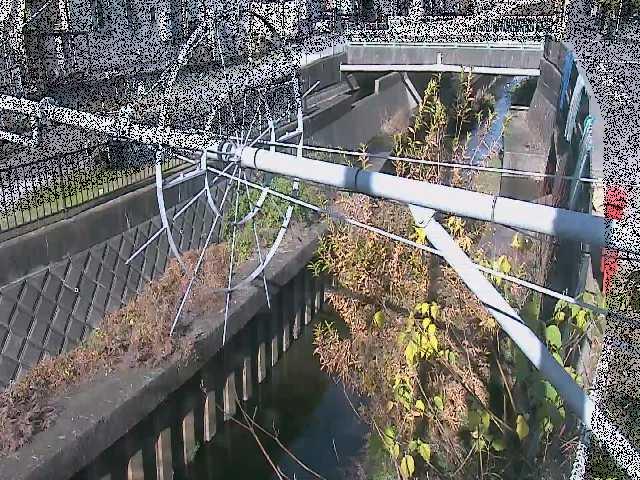 平和橋付近のカメラ画像