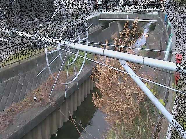 平和橋付近のカメラ画像