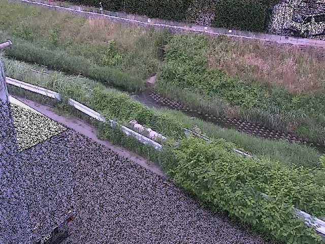 境川 高橋付近のカメラ画像
