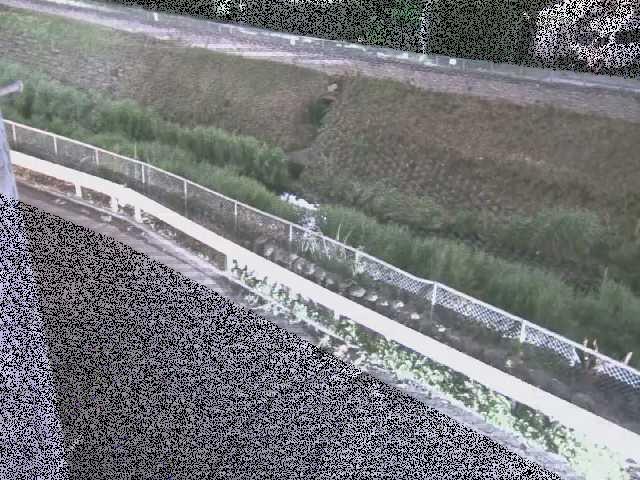 高橋付近のカメラ画像