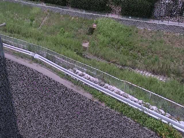 境川 高橋付近のカメラ画像