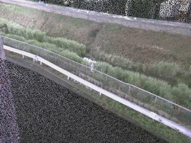 高橋付近のカメラ画像