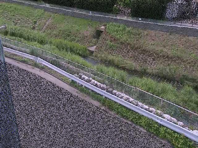 境川 高橋付近のカメラ画像
