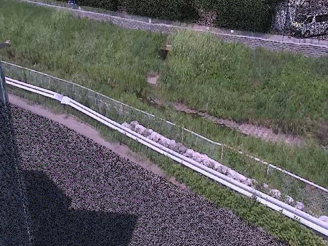 境川 高橋付近のカメラ画像