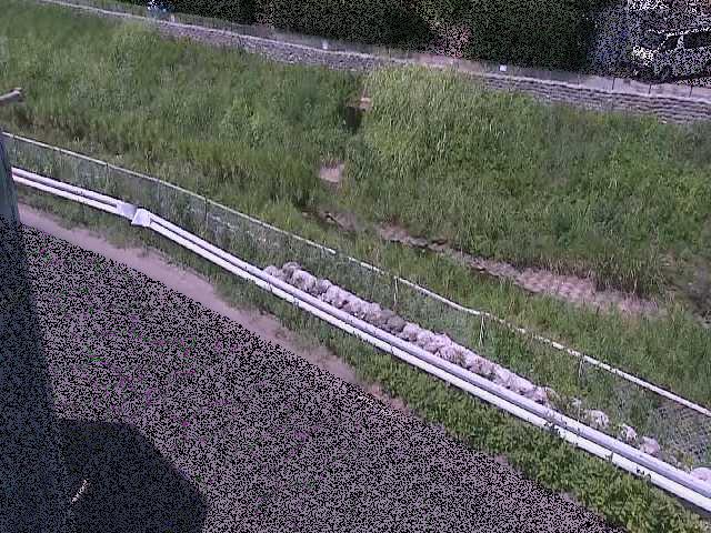 高橋付近のカメラ画像